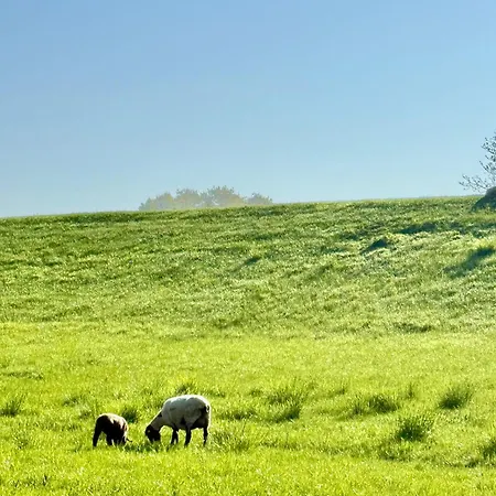 Fewo-julius Am Weser-sandstrand * 베르네