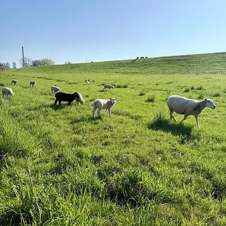 Fewo-julius Am Weser-sandstrand *